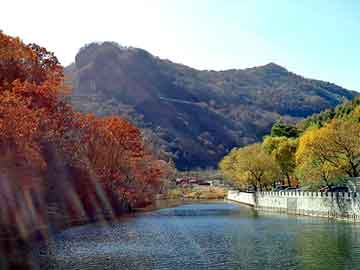 新澳天天开奖资料大全旅游团，上海科勒马桶维修